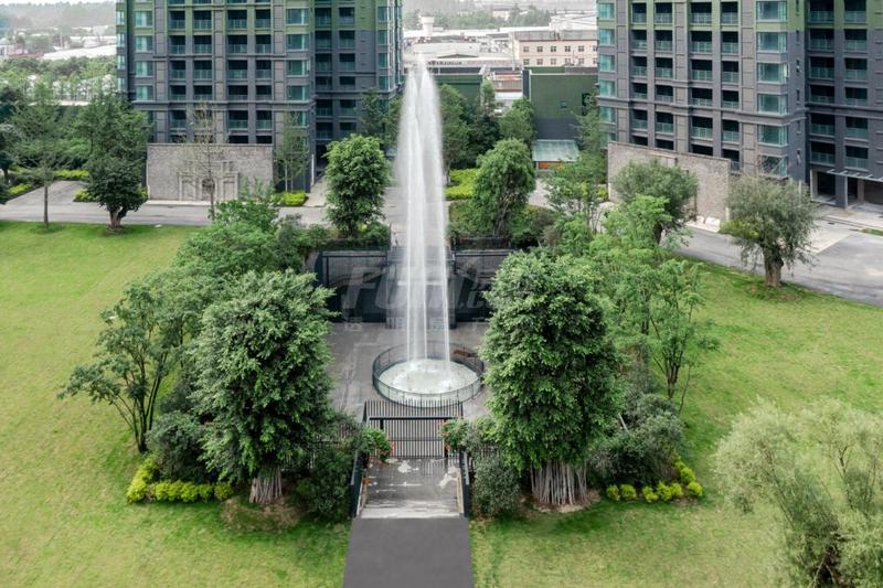 项目实景图