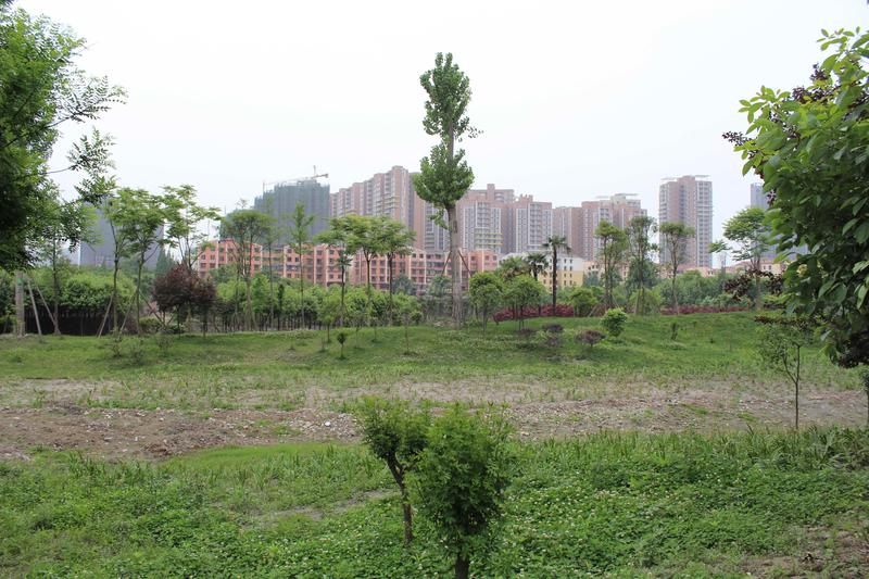 实景图