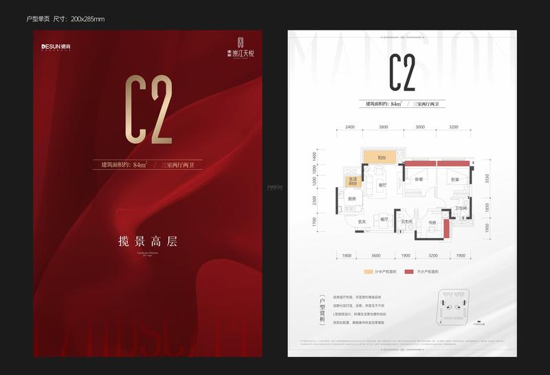 C2