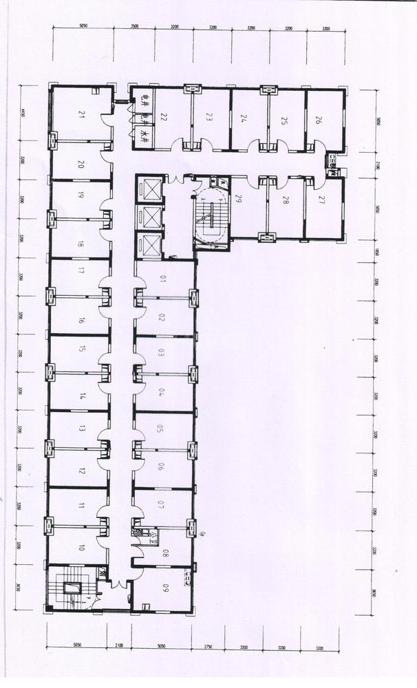 loft小跃精