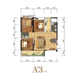 A3