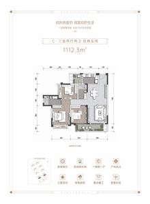 观颂府1期3室2厅2卫112.30平户型