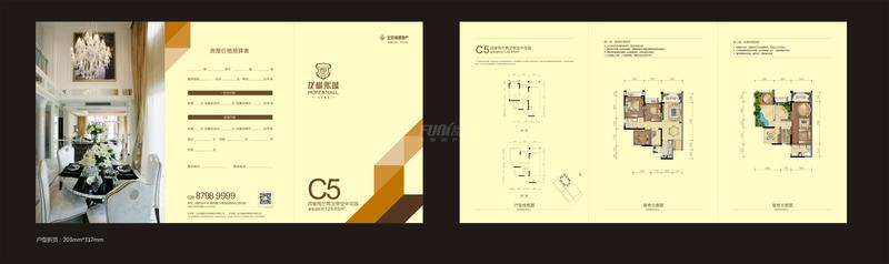 C5