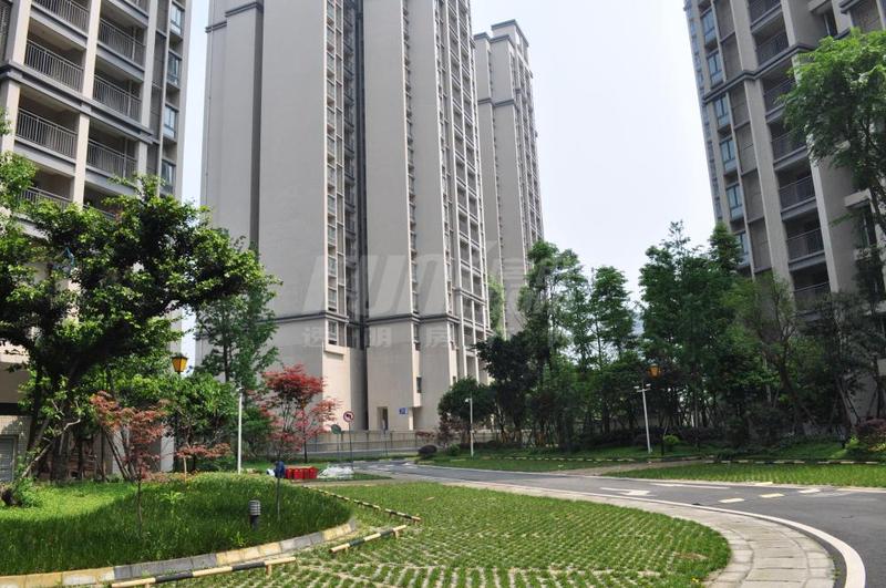 实景图