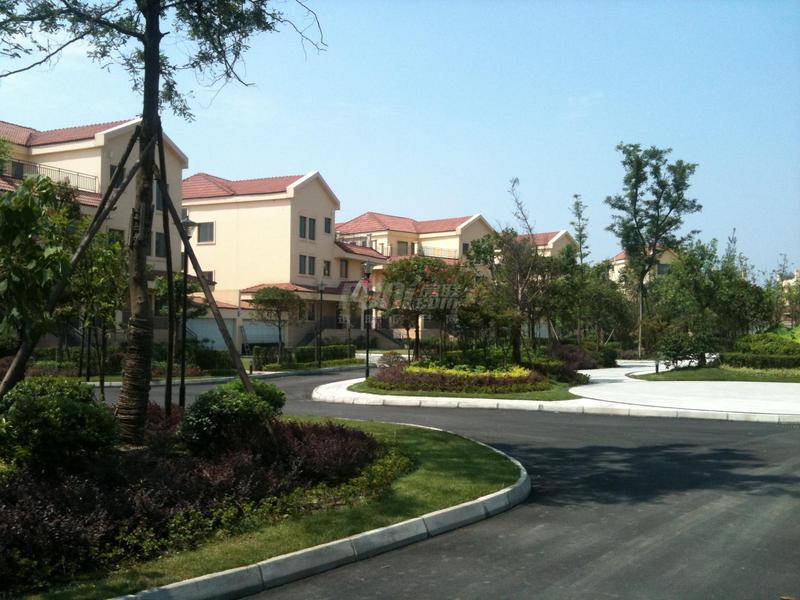实景图