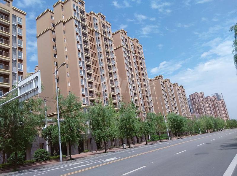 实景图