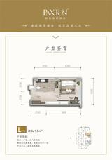 水岸 天成1期  55.00平米