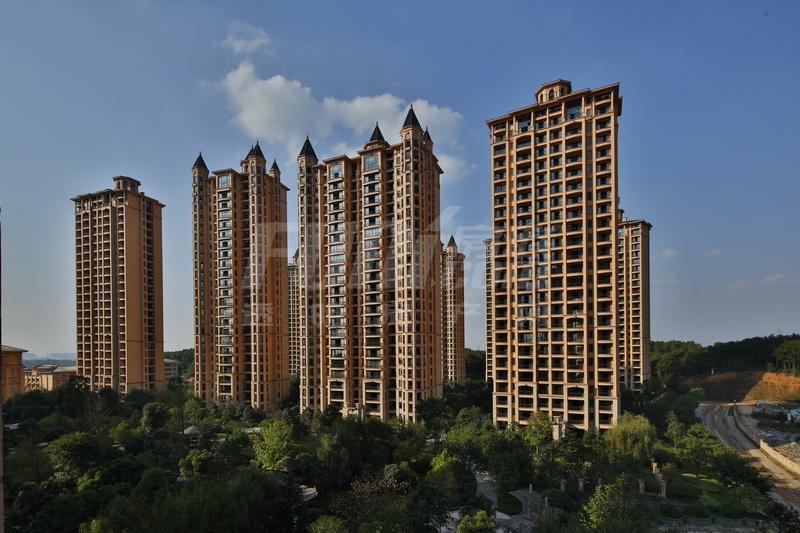 铂雅苑实景图