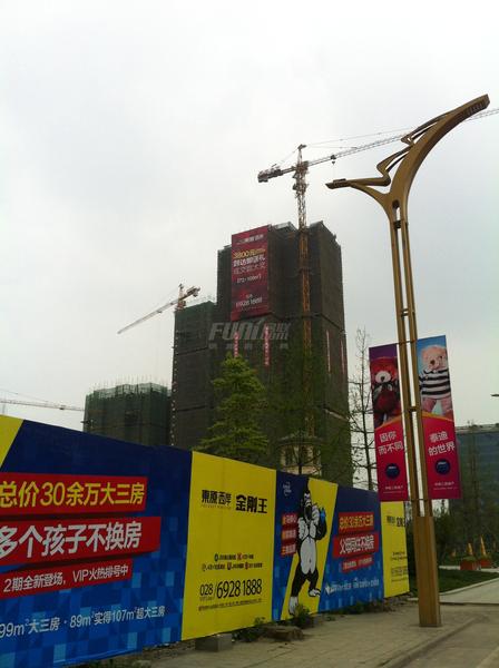 实景图