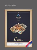 C2