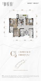 C2户型图