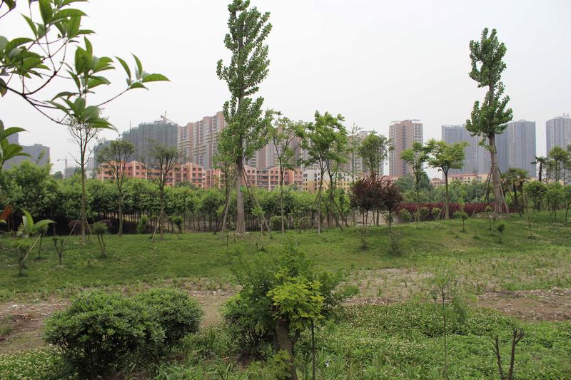 实景图