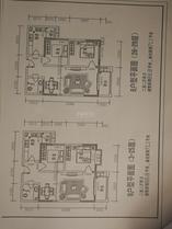 户型图6