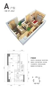 龙之梦鹏瑞利新城  45.00平米