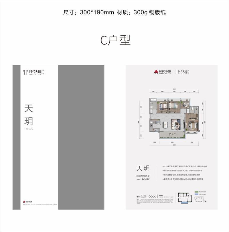C户型
