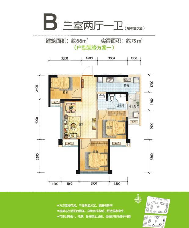 B户型