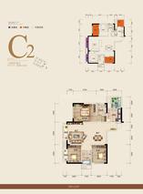 C2(17#)