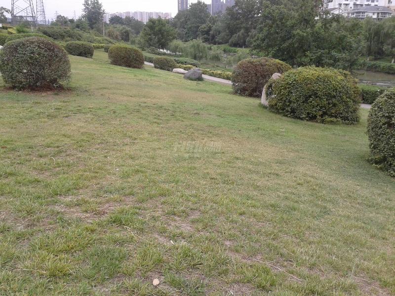 沙河公园
