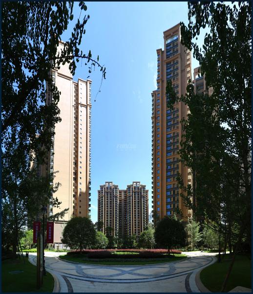 项目实景图