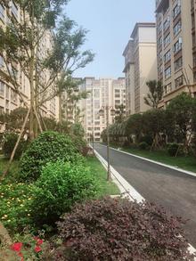 丽都佳苑1期效果图