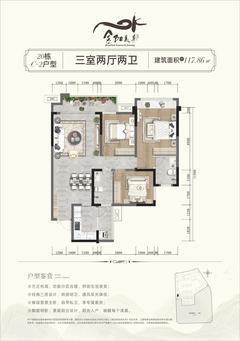 金阳美景三期1室117.86平户型