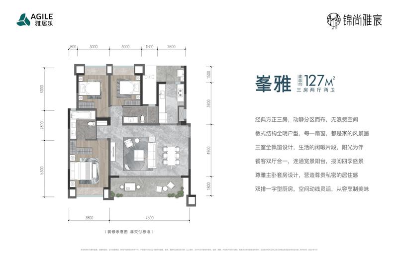 峯雅C1