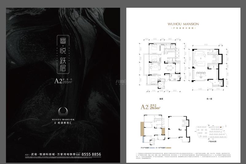 A2