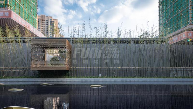 实景图
