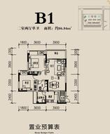 高B1
