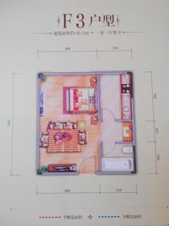 江东国际1室1厅1卫46.54平户型