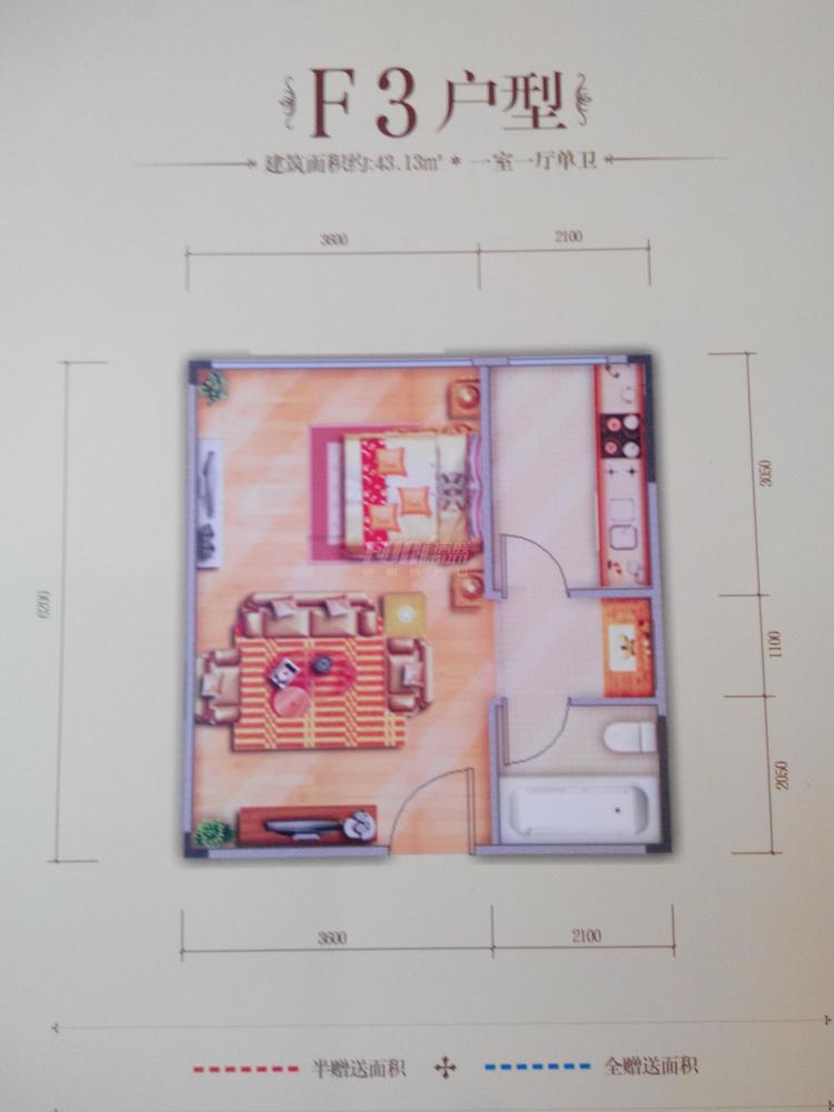 F户型