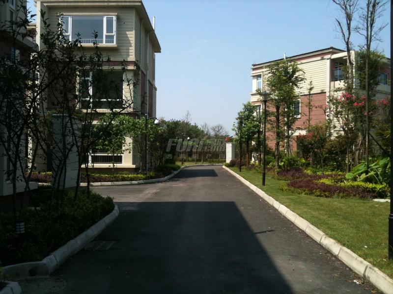 实景图