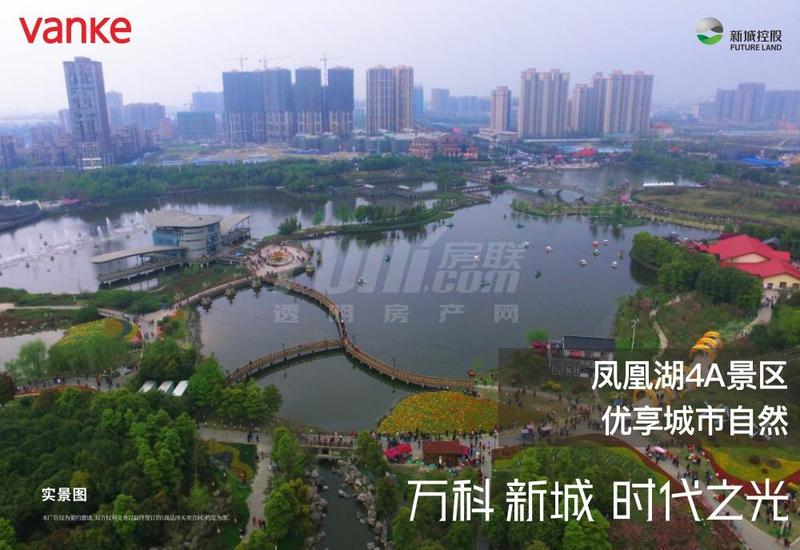 实景图