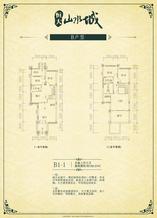 B1-1