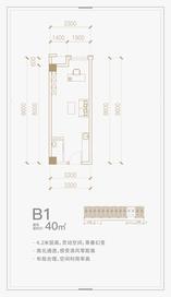 B1