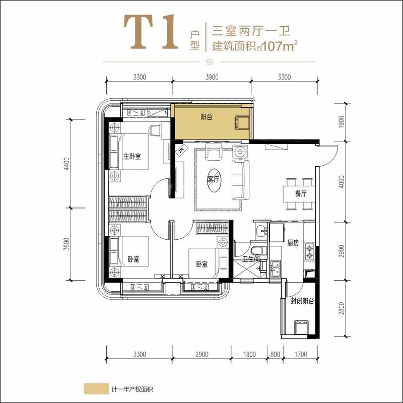 T1