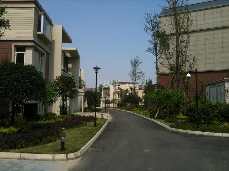 实景图