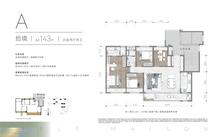 朗拾交子花园1期4室2厅2卫143.00平户型