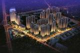 戛纳湾金棕榈