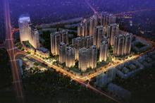 戛纳湾金棕榈效果图