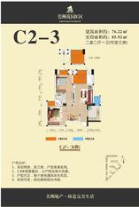 C2-3