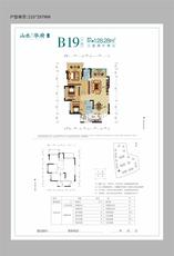 B19
