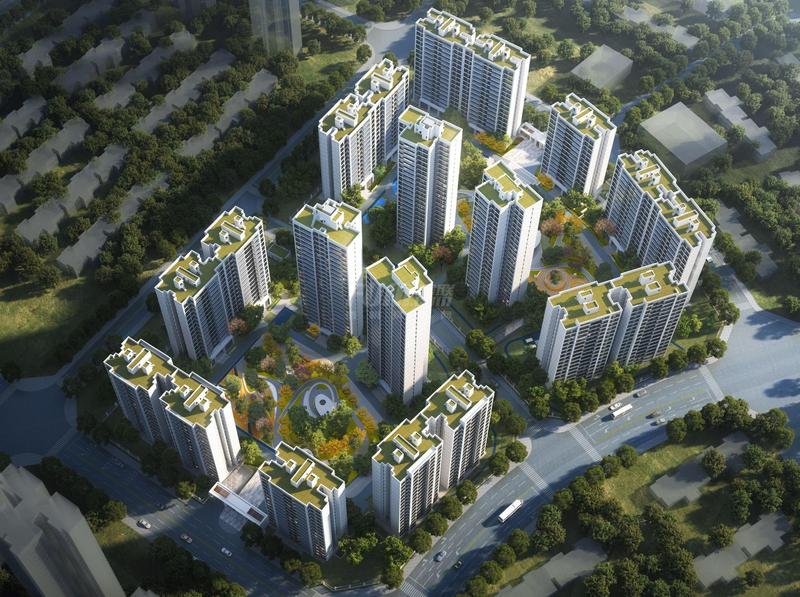 综合图片
