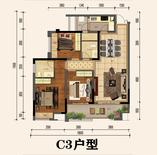 C3