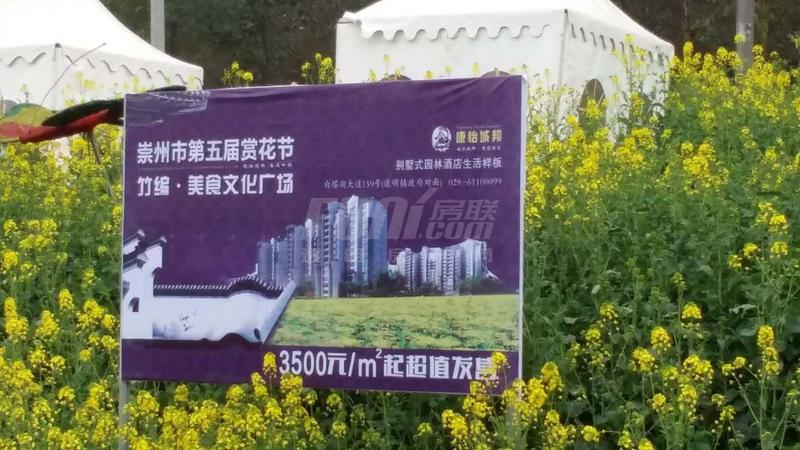 活动图