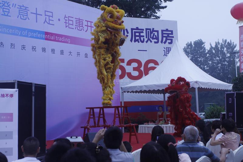 舞狮表演