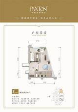 水岸 天成1期  64.00平米