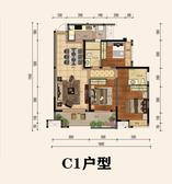 C1户型