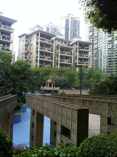 实景图