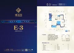博海城2期2室2厅2卫106.00平户型